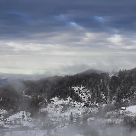 Silvani Kop Nlux67, Milmari & *