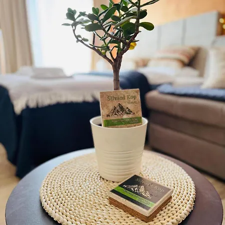 Silvani Kop Nlux67, Milmari & *