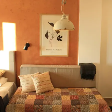 Silvani Kop Nlux67, Milmari & *