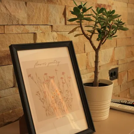 Apartman Silvani Kop Nlux67, Milmari & Kopaonik