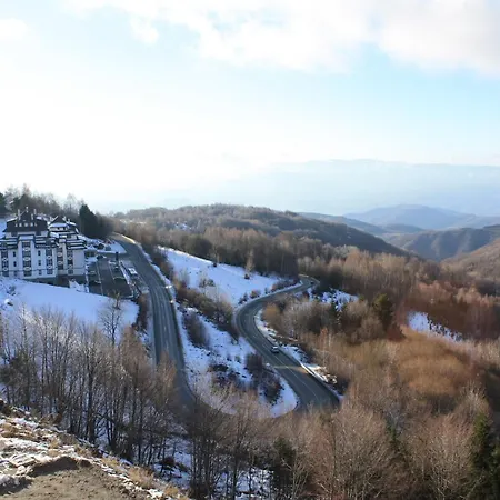 Silvani Kop Nlux67, Milmari &